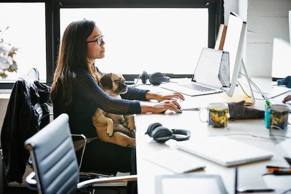 Blogging for Business